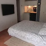 Feeric Проживание в семье *